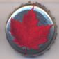 Beer cap Nr.4926: Canadian Light produced by Molson Brewing/Ontario