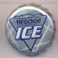 Beer cap Nr.16917: Nevskoe Ice Beer produced by AO Vena/St. Petersburg