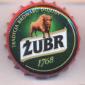 Beer cap Nr.24310: Zubr produced by Browar Dojlidy/Bialystok