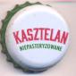 Beer cap Nr.25994: Kasztelan Niepasteryzowane produced by Sierpc/Sierpc