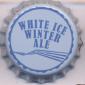 Beer cap Nr.26934: White Ice Winter Ale produced by Full Spectrum Brewing Co./Fort Mill