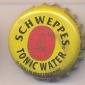 9275: Schweppes Tonic Water/Cameroon