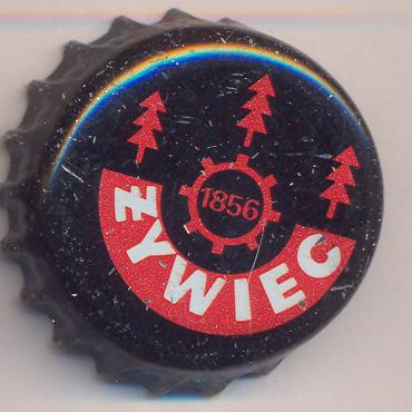 Beer cap Nr.2666: Porter produced by Browary Zywiec/Zywiec