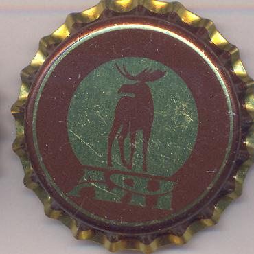 Beer cap Nr.6809: Ayan produced by Ayan/Abakan