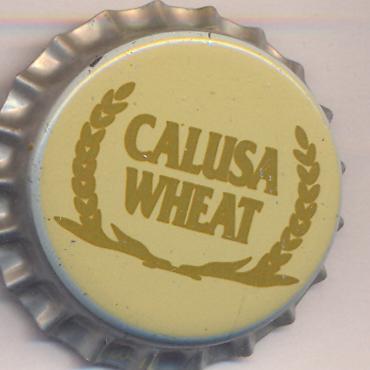 Beer cap Nr.8456: Calusa Wheat produced by Ybor City Brewing Company/Ybor City