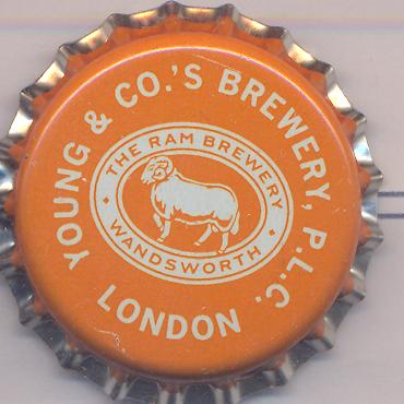 Beer cap Nr.9811: Young's Waggledance Honey Beer produced by Young & Co's Brewery/London