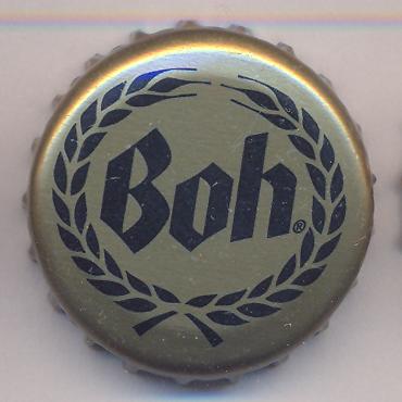 Beer cap Nr.11723: Boh produced by Molson Brewing/Ontario