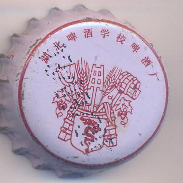 Beer cap Nr.12625: Hebei Bier produced by Hebei Pijou Xuexiao/Pijou