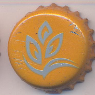 Beer cap Nr.13498: Fayrouz Mango produced by Al Ahram Beverages Co./Giza