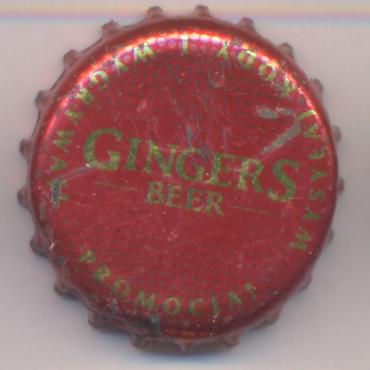 Beer cap Nr.13643: Gingers Beer produced by Browar Belgia/Kielce