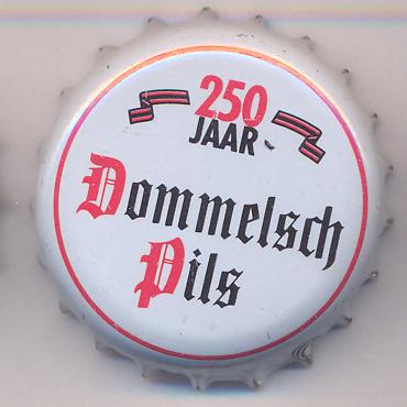 Beer cap Nr.13872: Dommelsch Pils produced by Dommelsche Bierbrouwerij/Dommelen