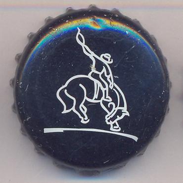 Beer cap Nr.16990: Patagonia Lager produced by C.A.S.A Isenbeck/Buenos Aires