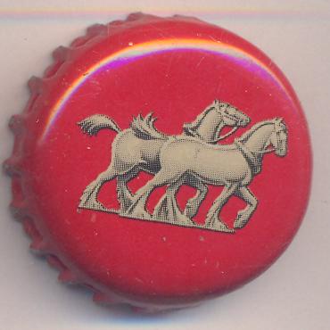 Beer cap Nr.17014: Carlton Mid produced by Carlton & United/Carlton