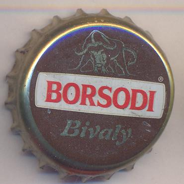 Beer cap Nr.17408: Borsodi Bivaly produced by Borsody Sörgyar Rt/Böcs