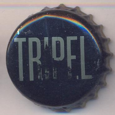 Beer cap Nr.17891: Ter Doolen Tripel produced by Brouwerij Ter Dool/Kasteel