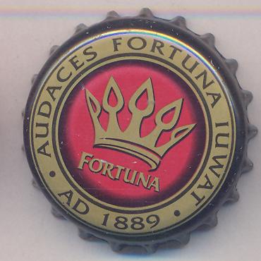 Beer cap Nr.18548: Fortuna Piwo produced by Browar Fortuna Sp./Miloslaw