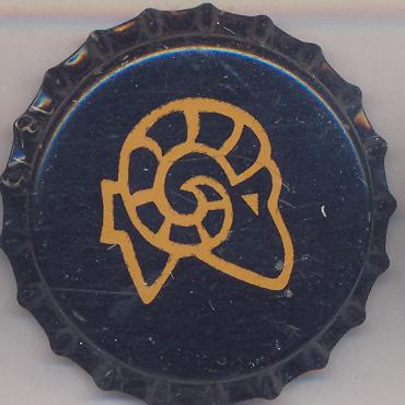 Beer cap Nr.18596: Big Horn Hefeweizen produced by Big Horn Brewing Company/Lakewood