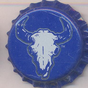 Beer cap Nr.18701: Big Sky IPA produced by Big Sky Brewing/Missoula