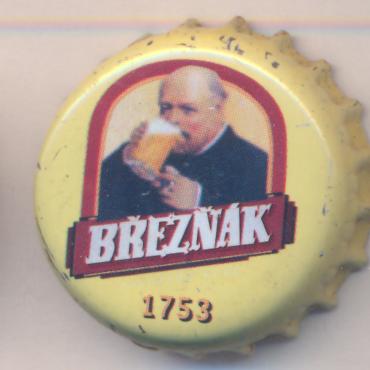 Beer cap Nr.19062: Breznak produced by Pivovar Velke Brezno/Velke Brezno