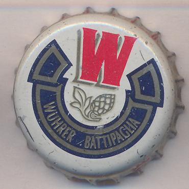 Beer cap Nr.20183: Wührer produced by Wührer/San Giorgio Nogaro