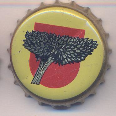 Beer cap Nr.20397: Steenbrugge produced by Gouden Boom/Brugge