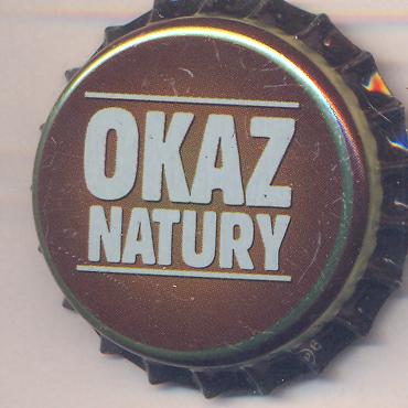 Beer cap Nr.20783: Bialystok Bison produced by Browar Dojlidy/Bialystok