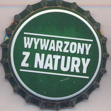 Beer cap Nr.20786: Zubr produced by Browar Dojlidy/Bialystok