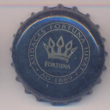 Beer cap Nr.21597: Fortuna Piwo produced by Browar Fortuna Sp./Miloslaw