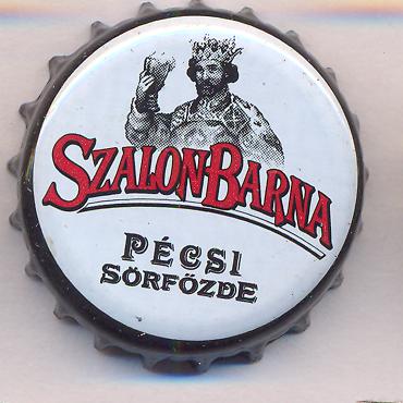 Beer cap Nr.24021: Szalon Barna produced by Pecsi Sörfozde RT/Pecs