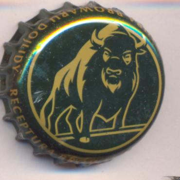 Beer cap Nr.24312: Zubr produced by Browar Dojlidy/Bialystok