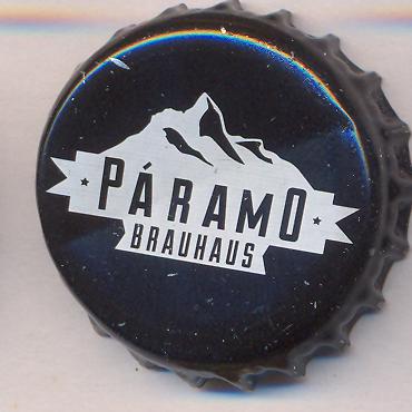 Beer cap Nr.24560: Paramo Pale Ale produced by Paramo Brauhaus/Quito